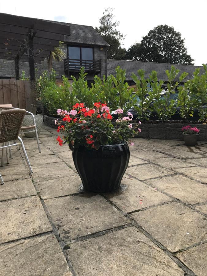 Smithaleigh Farm Rooms And Apartments Sparkwell Екстериор снимка